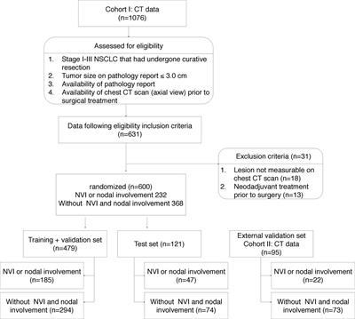 DeepCUBIT: Predicting Lymphovascular Invasion or Pathological Lymph Node Involvement of Clinical T1 Stage Non-Small Cell Lung Cancer on Chest CT Scan Using Deep Cubical Nodule Transfer Learning Algorithm